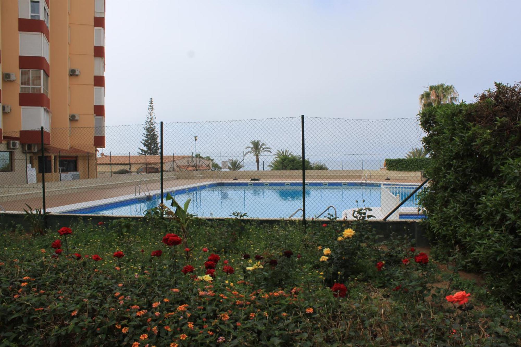 Frente Al Mar *